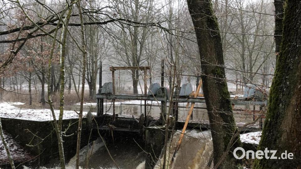 Am Wehr bei Mühlhof kann man gut erkennen welche Wassermassen durch das Hochwasser in der Haidenaab fließen. Bild: rpp