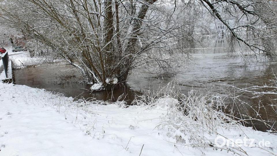 Die Wondreb an der Brücke beim Mitterhof. Bild: hmr