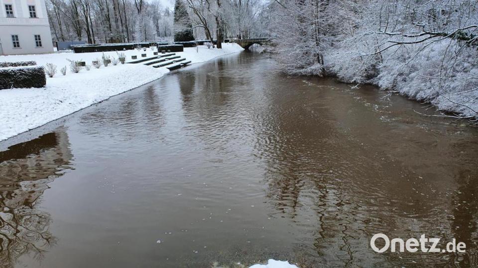 Die Wondreb in der Brauhausstraße Richtung Klostergelände. Bild: hmr