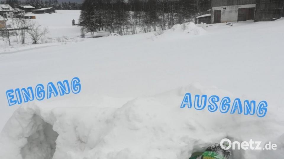 Das Umdrehen kann man sich in dieser Schneehöhle sparen. Bild: Grundschule Kulmain/exb