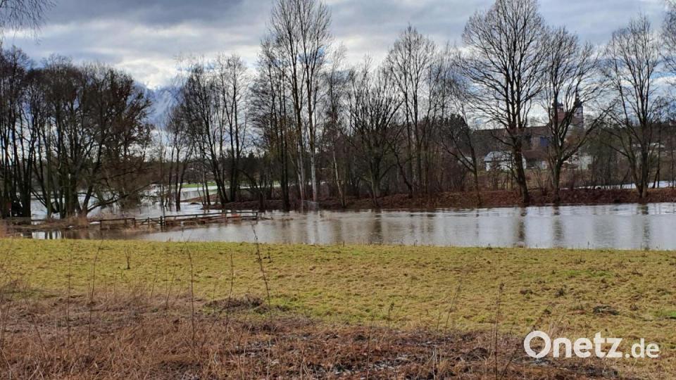 Das Wondreb-Hochwasser bei den Teichen an der Neualbenreuther Straße. Bild: hmr