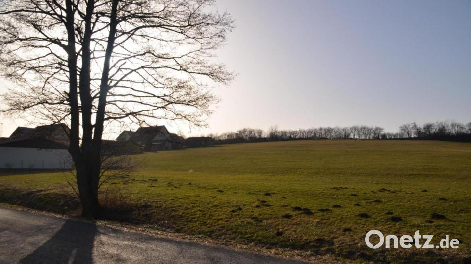 Der Gemeinderat Speichersdorf beschäftigte sich in seiner jüngsten Sitzung um die Ausweisung, Parzellierung und Erschließung des neuen Baugebietes &quot;Haidenaab – Am Mühlgraben&quot;. Bild: ak
