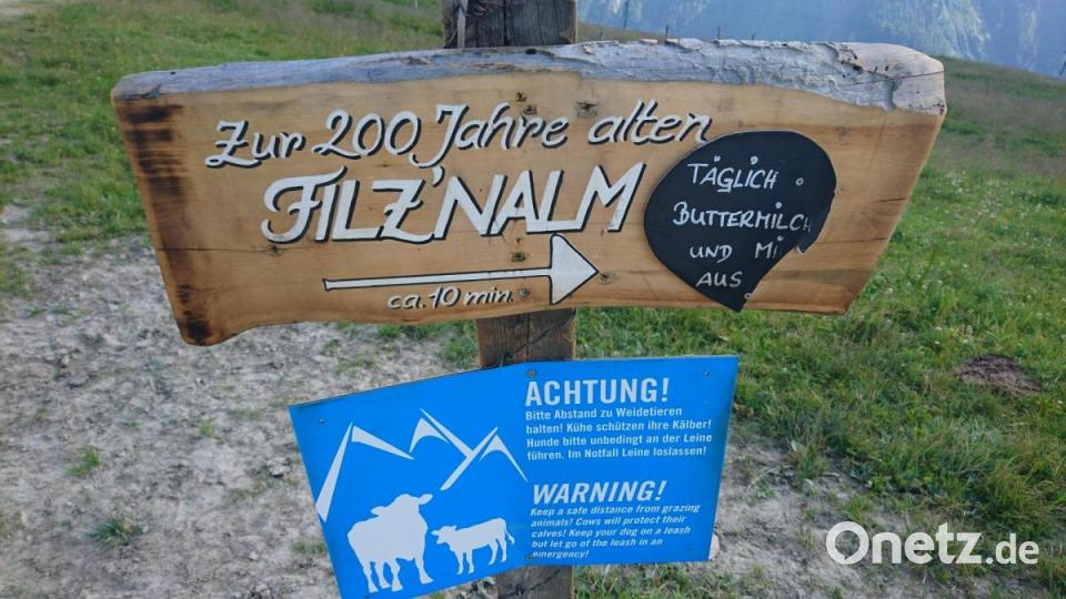 Wer mit der Ahornbahn vom Tal auf den Berg fährt, läuft schnell an einem Schild vorbei, das Wanderer zur Rast auf der Filz'nalm einlädt. Bild: Theresa Frank/exb