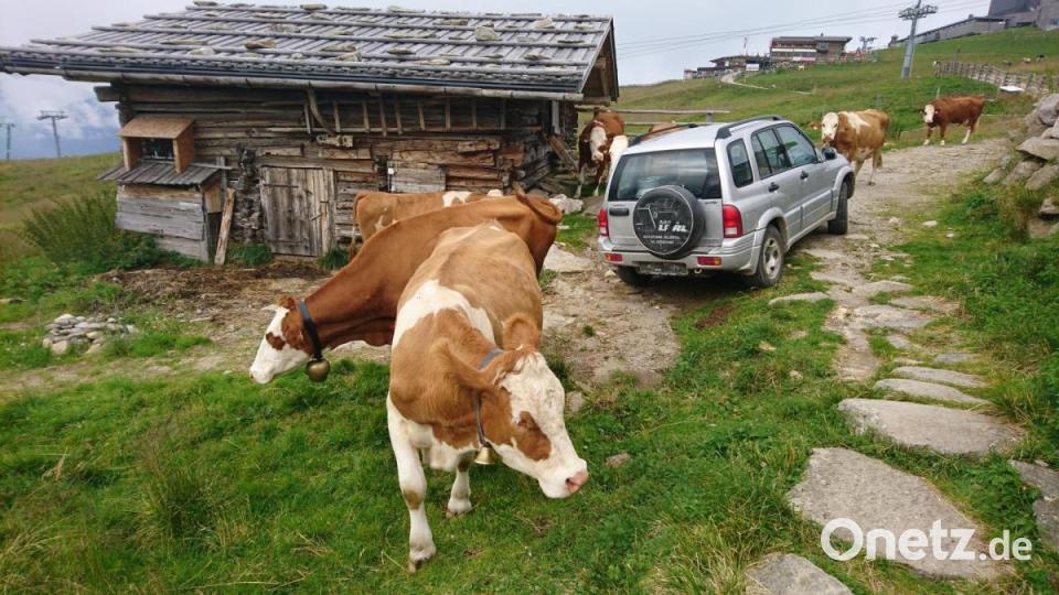 Mit einem Geländewagen fuhr Theresa Frank regelmäßig zum Kuhstall und holte dort die Milch zur Weiterverarbeitung ab. Bild: Theresa Frank/exb