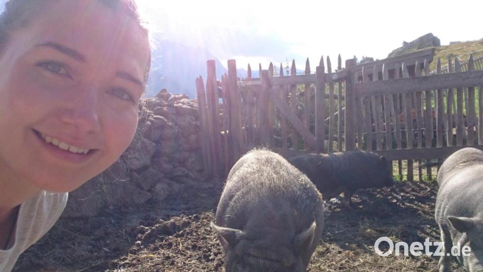 Ein Selfie mit den Hängebauchschweinen: Theresa Frank kümmerte sich gerne mit um die tierischen Mitbewohner auf der Alm im Zillertal. Bild: Theresa Frank/exb