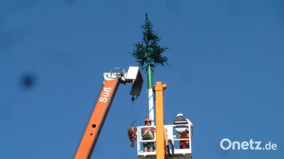 Bauhof legt Maibaum am Marktplatz Oberviechtach um Bild: Portner