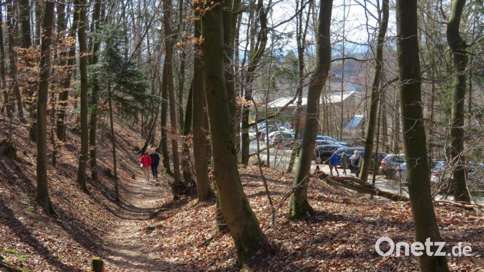 Am gefüllten Parkplatz an der Kulmterrasse konnte man anhand der KFZ-Kennzeichen die überregionale Bedeutung des Rauhen Kulms erkennen. Es gab sogar Besucher aus Oberbayern und aus Sachsen. Bild: ow