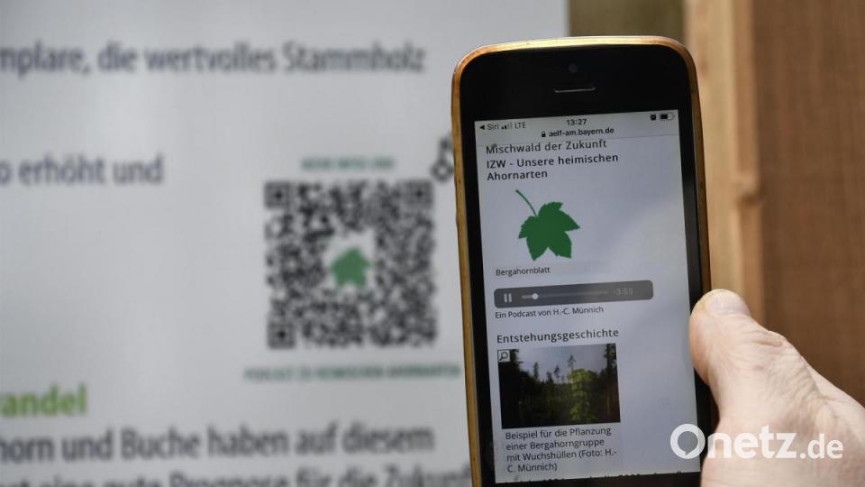In Pürschläg entstand eines von zwölf Vorzeigeprojekten für die Zukunftsinitiative Wald &quot;Die Mischung macht&#039;s&quot;: Spaziergänger können sich via QR-Code einen kurzen Podcast über den Wald anhören. Bild: Petra Hartl