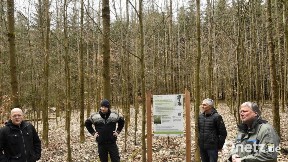 Treffen in Pürschläg mit Waldbesitzer Hans Loos und dem Amt für Landwirtschaft und Forsten wegen Projekt: Zukunftsinitiative Wald &quot;Die Mischung macht&#039;s&quot;. Von inks: Stefan Breunig (OTH Amberg-Sulzbach), Hans-Christoph Münnich (Projektmanager Initiative Zukunftswald Amberg), Waldbesitzer Hans Loos und Amtsleiter Wolfhard-Rüdiger Wicht. Bild: Petra Hartl