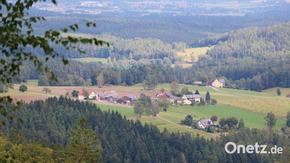 Panoramablicke gehören zu den Höhepunkten vieler Touren im Veranstaltungskalender 2021 des Naturparks Steinwald - wie hier im Bild der Ausblick vom Wanderweg in Pfaben zum Waldhaus auf die Ortschaft Bärnhöhe bei Friedenfels. Archivbild: bsc