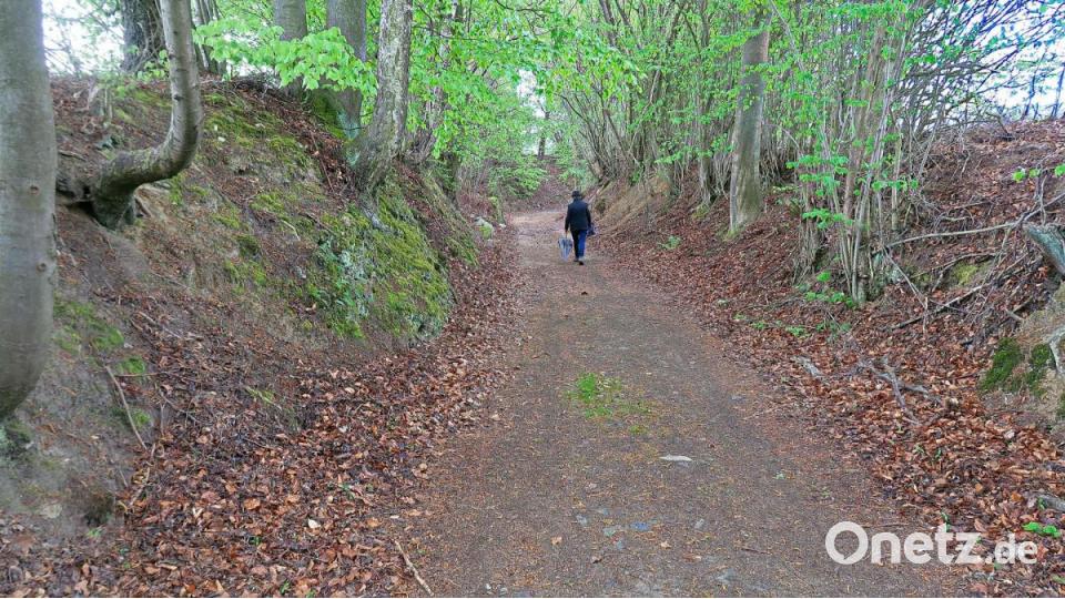 Ob mit dem Fahrrad oder zu Fuß, mit der Familie, Freunden oder alleine - der Naturpark Steinwald bietet Alt und Jung viel Abwechslung. Im Bild der Wanderweg durch die Silbergasse in Friedenfels. Archivbild: bsc
