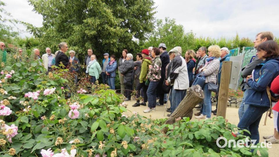 Johanna Eisner (vorne links) bringt das Wissen der Hildegard von Bingen bei Gruppenführungen unter die Leute, unter anderem wie hier im Garten der Umweltstation Abtei Waldsassen. Archivbild: ubb