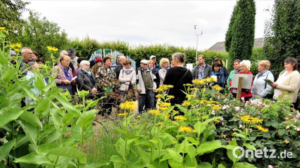 Johanna Eisner ist Fachfrau für Hildegard-Medizin und Hildegard-Kräuter. Im Klostergarten der Umweltstation Waldsassen (KuBZ) führt sie regelmäßig Gruppen und Interessierte bei einem Rundgang durch die reiche Welt der Kräuter in die Lehren der Hildegard von Bingen ein. Bild: ubb
