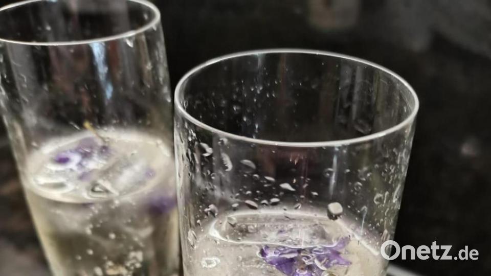 Märzveilchen heilen nicht nur. Sie sind auch ein netter Blickfang mit Duftnote in Eiswürfeln, die ein Gläschen Sekt kühlen. Bild: ubb