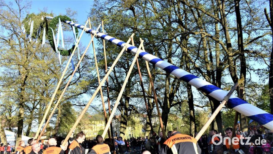 2019 stellten die Männer der Freiwilligen Feuerwehr Grafenwöhr den Maibaum mit Muskelkraft und prominenter Unterstützung auf. Archivbild: rgr