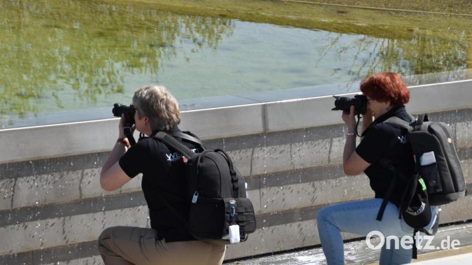 Die Fotografinnen Elke Englmaier und Margareta Czichon &quot;unter&quot; Wasser. Bild: hcz