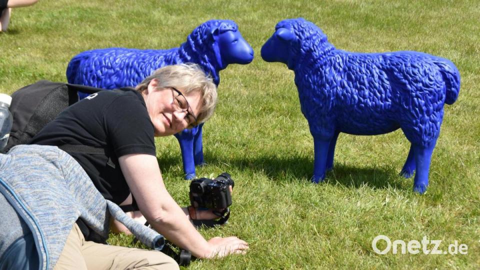 Blaue Schafe: nicht nur eine Attraktion für Kinder, sondern auch für Elke Englmaier, ein sehr aktives Mitglied der &quot;Freien Fotografen&quot;. Bild: hcz