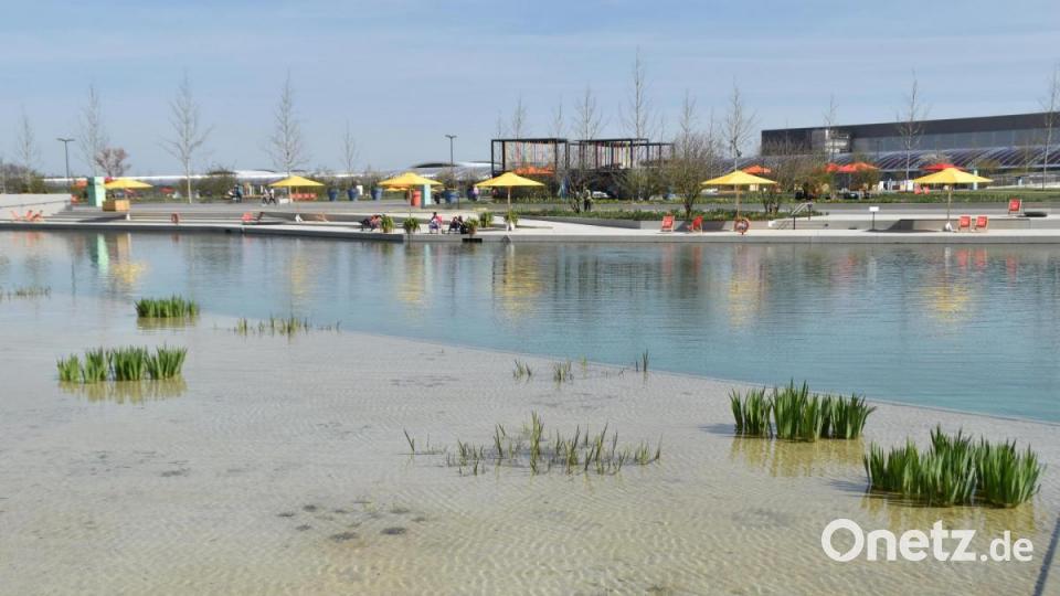 Eine der weitläufigen Wasserflächen in der Landesgartenschau Ingolstadt Bild: hcz