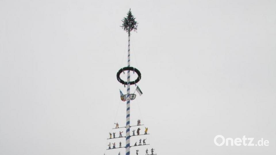 Der Baum steht: Die an der Übergabe Beteiligten von Stadt, Bauhof, THW und Bundeswehr stellten sich zum Erinnerungsfoto auf. Bild: frd