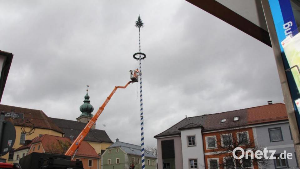 Nun schmückt wieder ein Maibaum den Oberviechtacher Marktplatz. Bild: frd