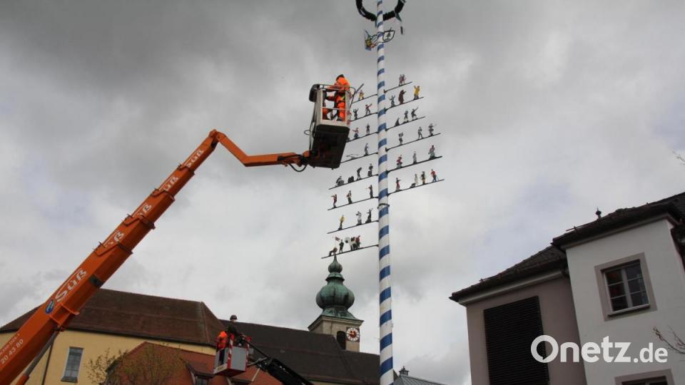 Die Oberviechtacher Stadtkulisse ist mit dem prächtigen Maibaum nun wieder um ein Wahrzeichen reicher. Bild: frd