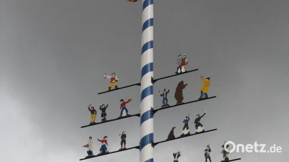 Fast den ganzen Tag dauerte es, den Maibaum aufzustellen und die Zunftzeichen anzubringen. Bild: frd