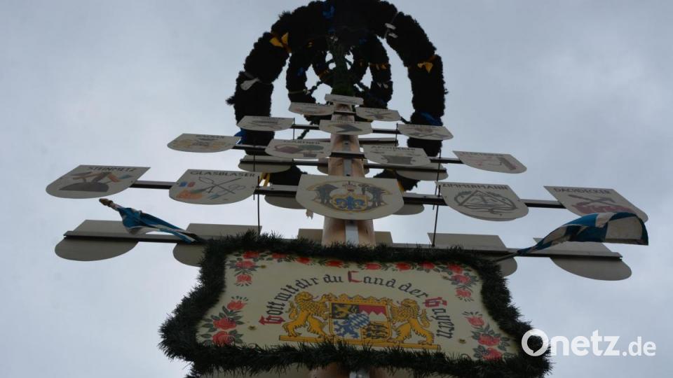 Blick in den Maibaum hinauf. Bild: jr