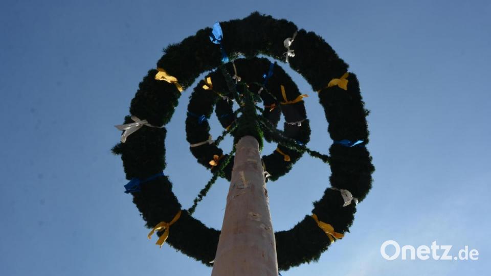 Der Waldsassener Maibaum im strahlend blauen Himmel. Bild: jr