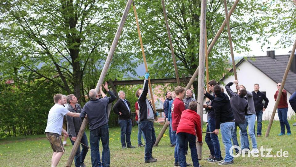Im Jahre 2019 wuchtete Muskelkraft den Gleiritscher Maibaum in Position. In den Folgejahren machte Corona dem Event einen Strich durch die Rechnung. Archivbild: akp