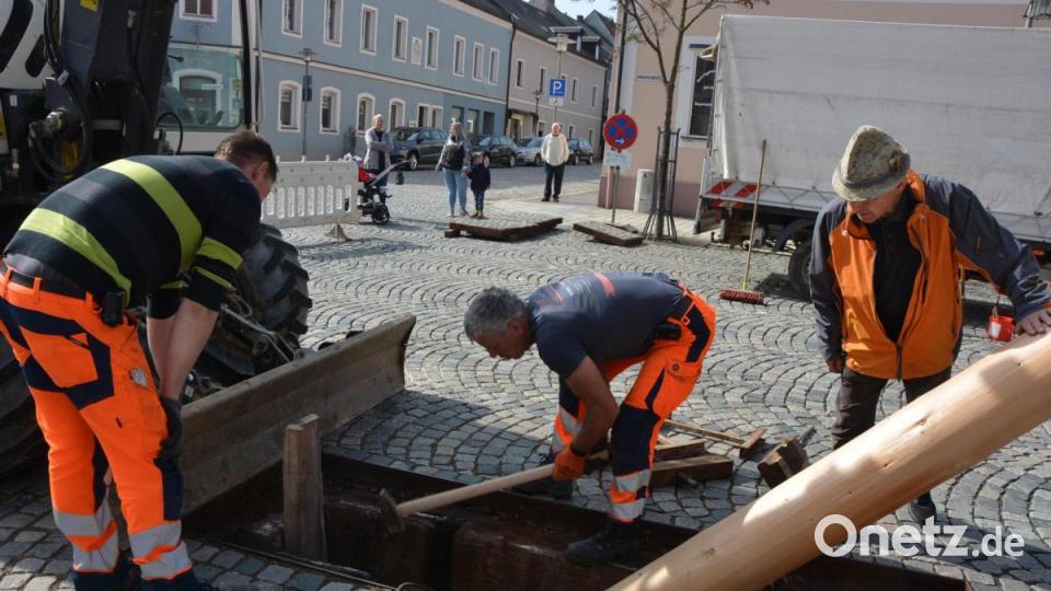 Arbeit in der Maibaumgrube Bild: jr