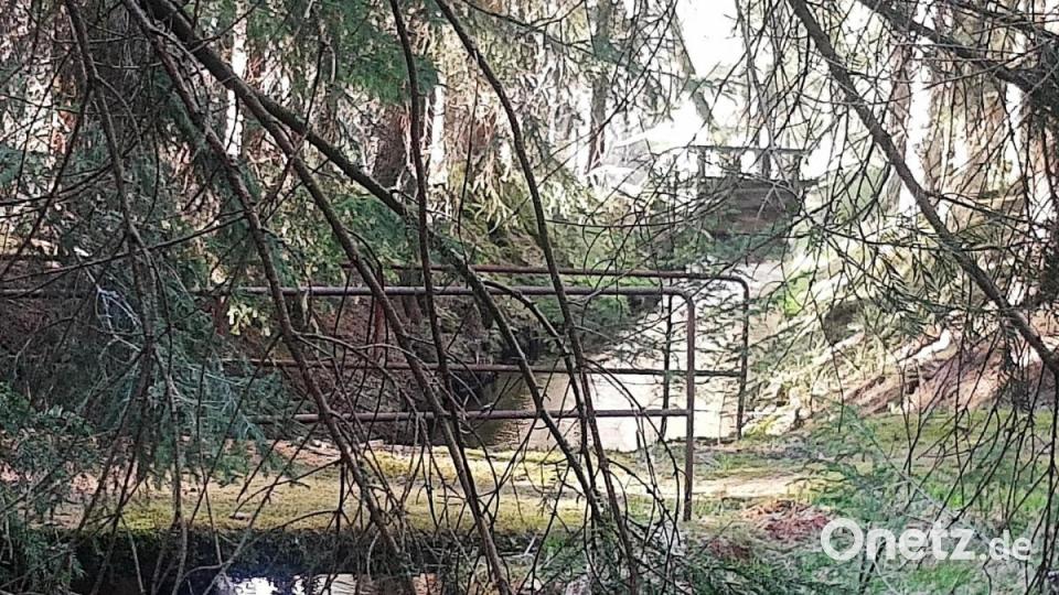 Auch die Brücke kurz vom dem Wehr ist naturbelassen und passt sich homogen in die Landschaft ein. Bild: ld