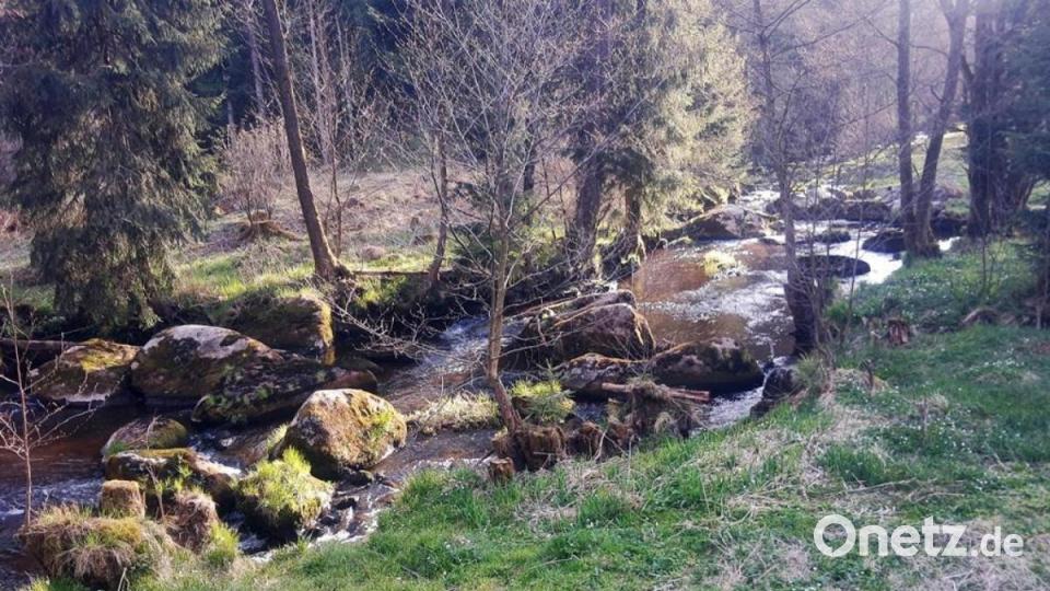 Naturbelassene Landschaft am Fichtelnaabtalradweg. Bild: ld