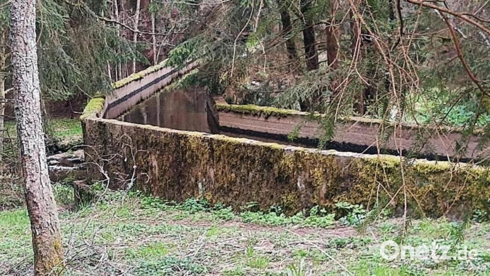 500 Meter nach dem Goetz-Areal trifft am auf die sogenannte ""Bretternaab". Hier wird Wasser quer über die Fichtelnaab zur ehemaligen Firma Goetz geleitet. Bild: ld