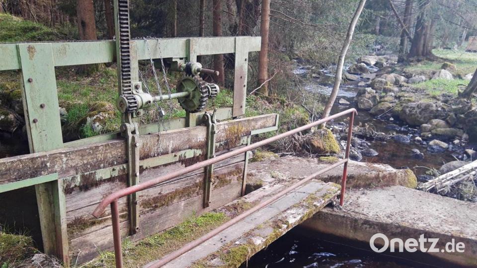 An diesem Wehr wird die Fichtelnaab gestaut und ein Teil des Wasser in den Kanal geleitet. Bild: ld