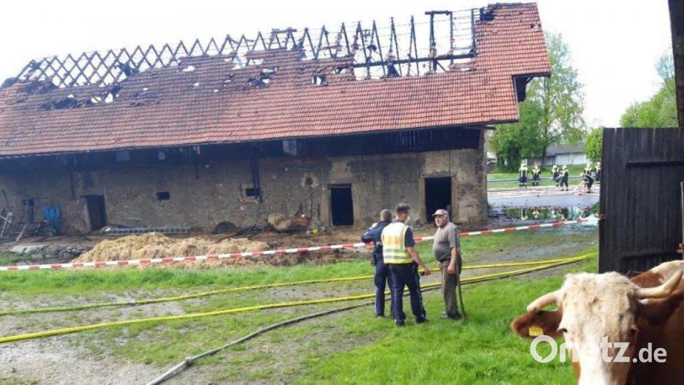 Beim Brand in Pretzabruck mussten drei Kühe in Sicherheit gebracht werden, die in dem brennenden Gebäude untergebracht waren. Dies gelang auch. Außerdem wurde ein Statiker wurde zur Rate gezogen, da das Bauwerk nach dem Löschen einsturzgefährdet wirkte. Der Fachmann bestätigte diese Befürchtungen. Bild: Manfred Bäumler