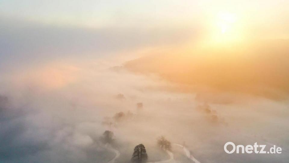 Wer gewinnt: die Sonne oder der feuchte Nebel? Diese Aufnahme entstand bei Luhe-Wildenau. Bild: Lena Held