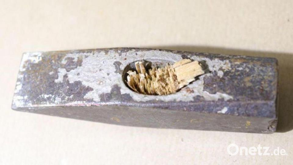 Hammerkopf von unten. Bild: Polizei