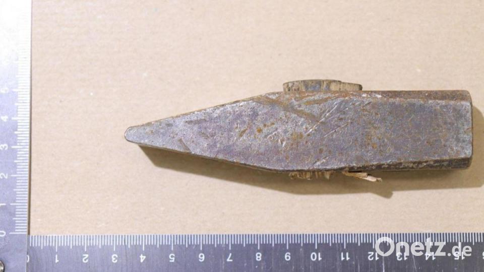 Hammerkopf von der Seite. Bild: Polizei