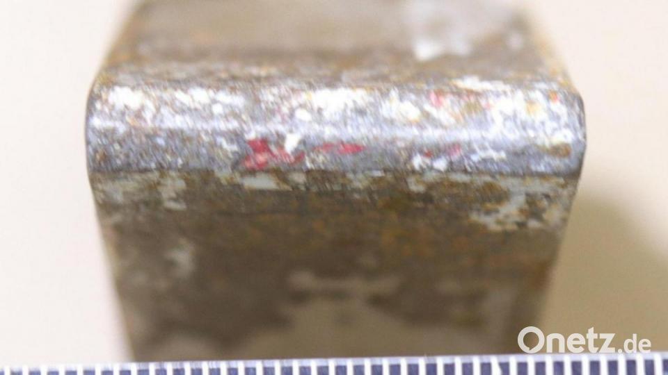 Finne des Hammerkopfes. Bild: Polizei