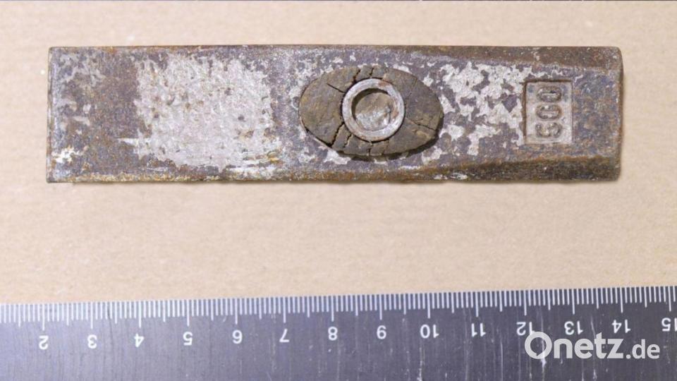 Hammerkopf von oben. Bild: Polizei