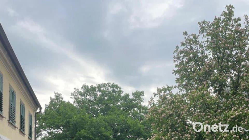 Fahrraddemo von "Fridays for Future"-Aktivisten durchs Stadtgebiet. Bild: Kunz