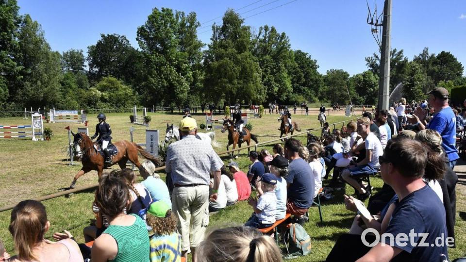 Letztes Jahr waren beim Springturnier des Reit- und Fahrvereins Hahnbach keine Zuschauer erlaubt. An diesem Wochenende durften (unter Einhaltung der Hygienevorgaben) 500 Zuschauer kommen. Bild: Petra Hartl