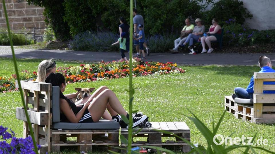 Die Palettenmöbel machen aus dem Stadtgraben bei der Stadtbrille in Amberg eine Sommer-Lounge. Da entspannt auch das Hündchen. Bild: Petra Hartl