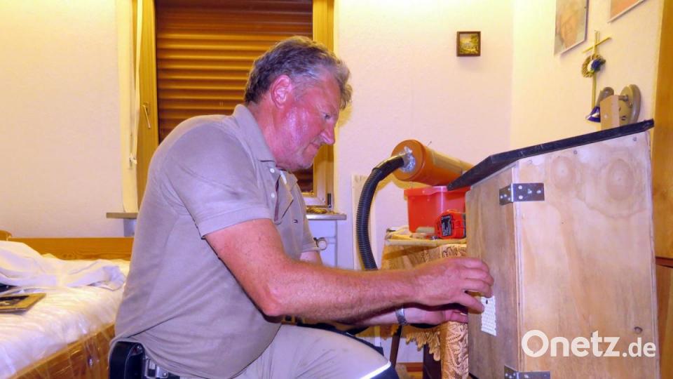 Auch die letzten drei Hornissen werden nicht allein zurückgelassen. Bild: ubb