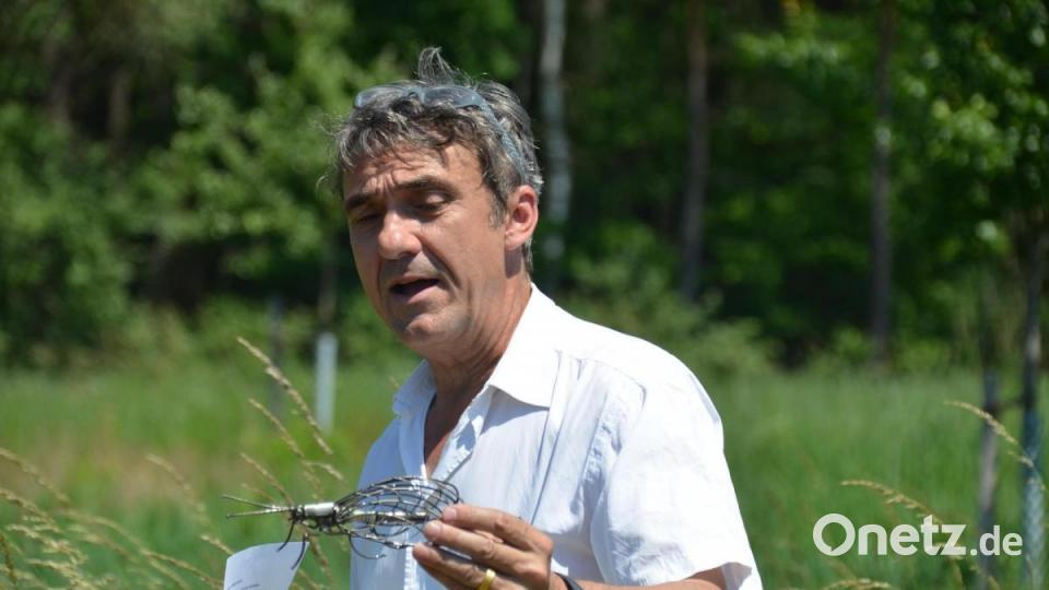 Martin Sommer, DVL-Manager Bild: ak