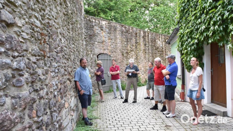 Auch die Stadtmauer hat große ökologische Bedeutung. Bild: hcz