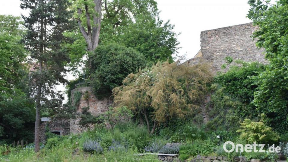 &quot;Essbarer Garten&quot;. Bild: hcz