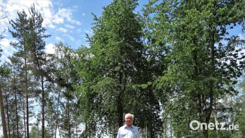 Gerhard Geiger zeigt, wie die Trittsicherheit trainiert werden kann. Bild: ubb