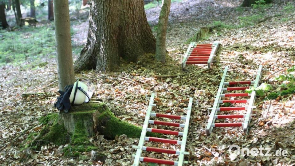 In der Nähe von Tirschenreuth ist am Donnerstag ein Flugzeug abgestürzt. Bild: rw