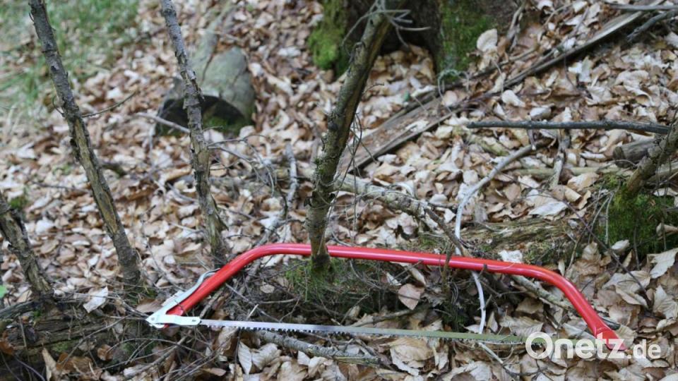 In der Nähe von Tirschenreuth ist am Donnerstag ein Flugzeug abgestürzt. Bild: rw